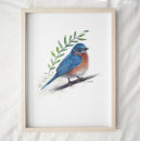 Search for bluebird posters Watercolor