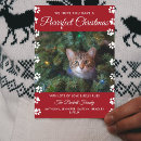 Search for cat photo christmas cards Typography