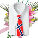 Search for norwegian flag norge