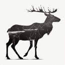 Search for reindeer tshirts Trendy