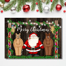 Search for barn christmas cards Horse
