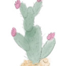 Search for cactus flower stickers Cute