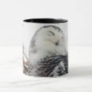 Search for snowy owl mugs Owls