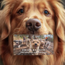 Search for for walker Professional dog walker
