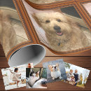 Search for cat dog christmas wrapping paper Picture