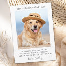 Search for fur baby cards From the dog