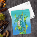 Search for sea dragon postcards Seahorse