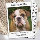 Search for pet sitter cards Puppy