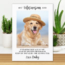 Search for vet thank you cards Pets