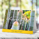 Search for cacti cards Succulent