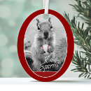 Search for champion christmas tree decorations Champions