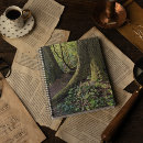 Search for evergreen notebooks Forest