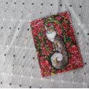 Search for coon cat cards Kitty