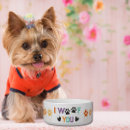 Search for funny dog supplies New puppy