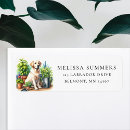 Search for yellow labrador return address labels Cute