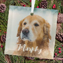 Search for rabbit memorial gifts Dog lover