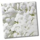Search for florist tiles Botanical