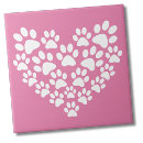 Search for paw print tiles Cat