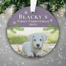 Search for violet christmas tree decorations Dog