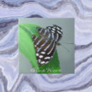 Search for blue leaf tiles Butterflies
