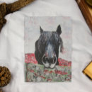 Search for stable cards Pony