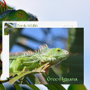 Search for tropical lizard postcards Wildlife