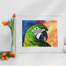 Search for vintage parrot art Tropical birds