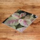 Search for poinsettia tiles Floral