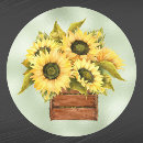 Search for thanksgiving sunflower stickers Floral