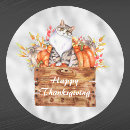Search for cat thanksgiving stickers Pumpkins