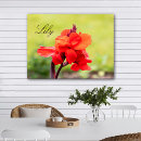 Search for name lily posters Flower