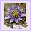 Search for passion flower puzzles Floral