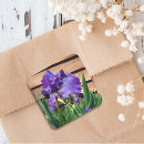 Search for purple iris flower stickers Nature