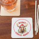 Search for funny christmas coasters Winter