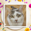 Search for dog napkins Simple