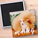 Search for country magnets Merry christmas