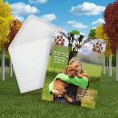 Search for shelter invitations Animal rescue