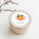 Search for clementine stickers Watercolor