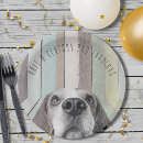 Search for beagle plates Happy birthday