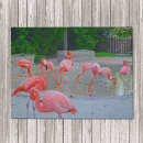 Search for florida doormats Coastal