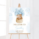 Search for hot air balloon posters Bear