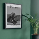 Search for magazines posters Cat