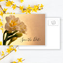 Search for daffodil save the dates Narcissus
