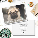 Search for funny pet invitations Dog lover