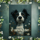 Search for modern shamrock cards St patrick's day