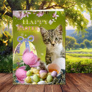 Search for cat lovers easter cards Cute