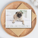 Search for funny pets postcards New address