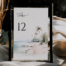 Search for tropical numbers table cards Modern
