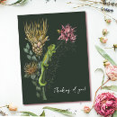 Search for cute chameleon postcards Kids