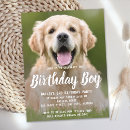 Search for fur invitations Dog